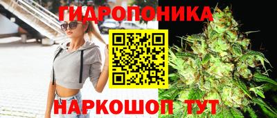альфа пвп Гай