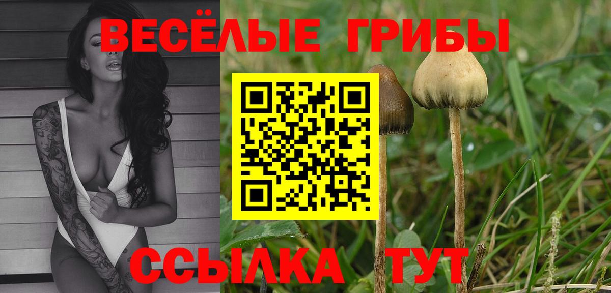 Нарткала  Галлюциногенные грибы мицелий  Вход с VPN  продажа наркотиков  Галлюциногенные грибы GOLDEN TEACHER 